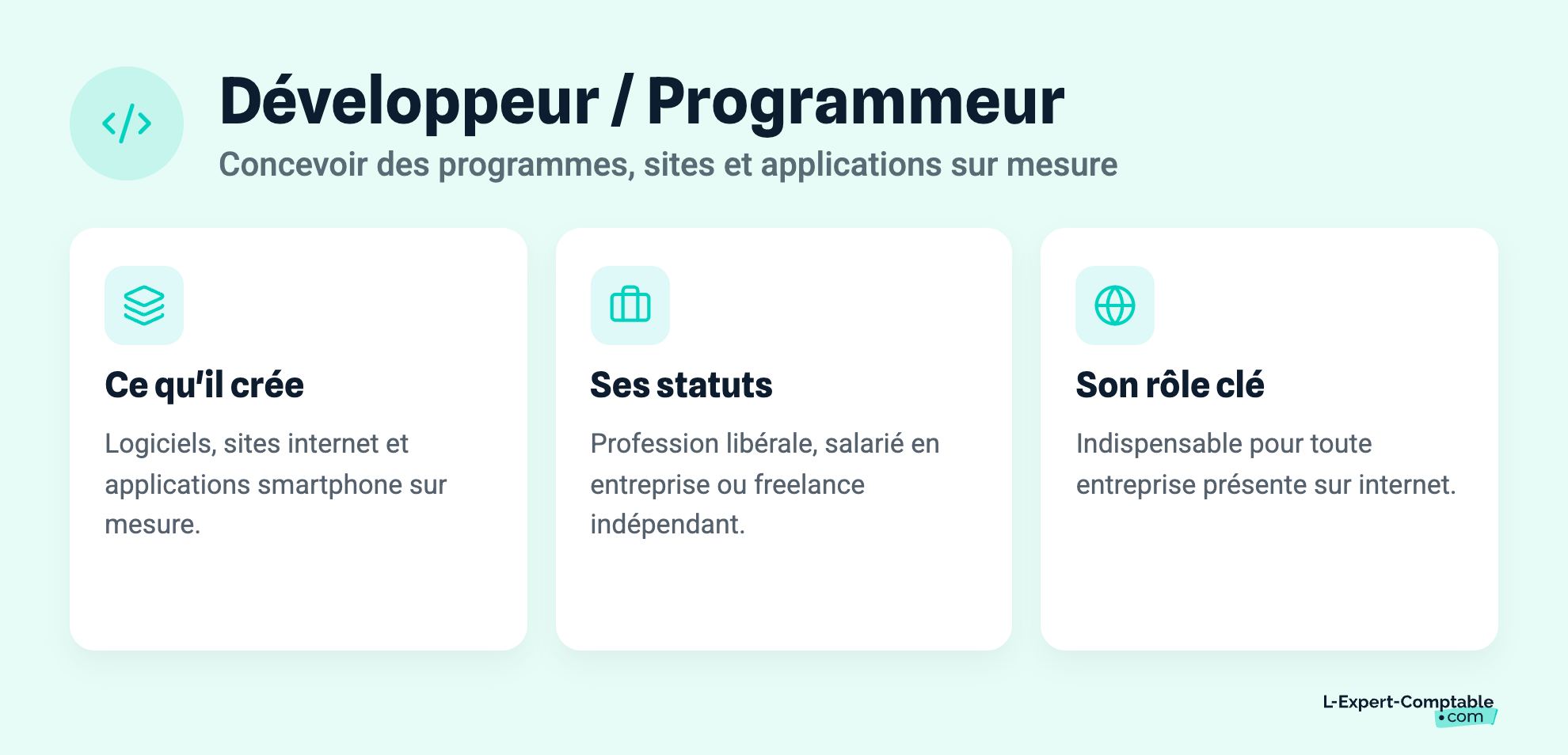 Développeur / Programmeur